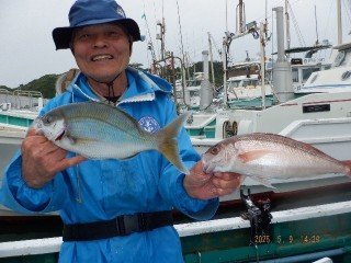 ヒメダイ・アオダイ