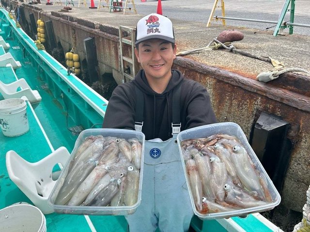 マルイカ(ケンサキイカ)・ムギイカ(スルメイカ)