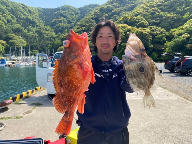 カンコ(ウッカリカサゴ)・マトウダイ