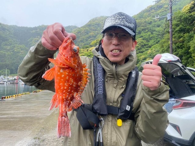 カンコ(ウッカリカサゴ)