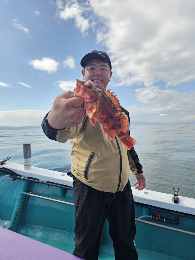 ガシラ(カサゴ)