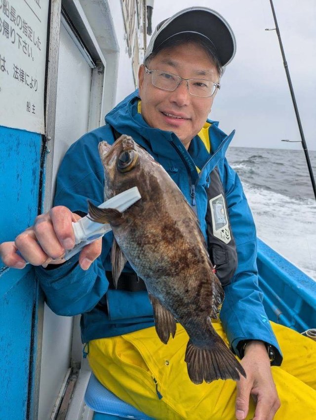 クロメバル(メバル)