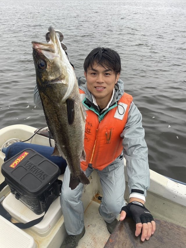 シーバス(スズキ)