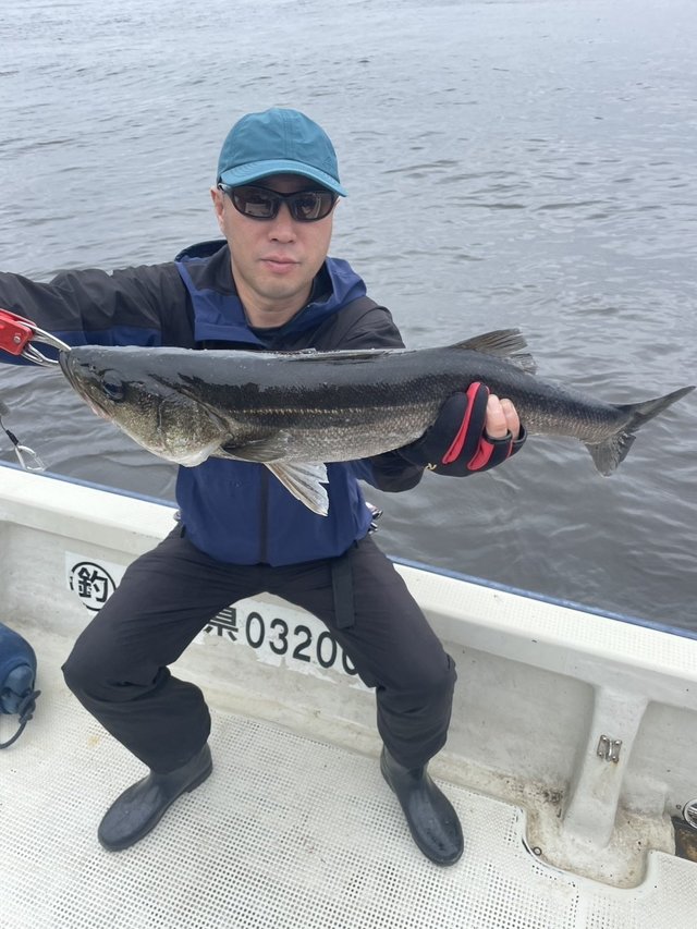 シーバス(スズキ)