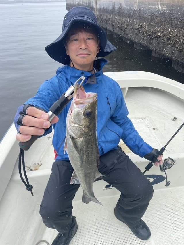 シーバス(スズキ)