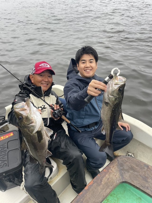 シーバス(スズキ)