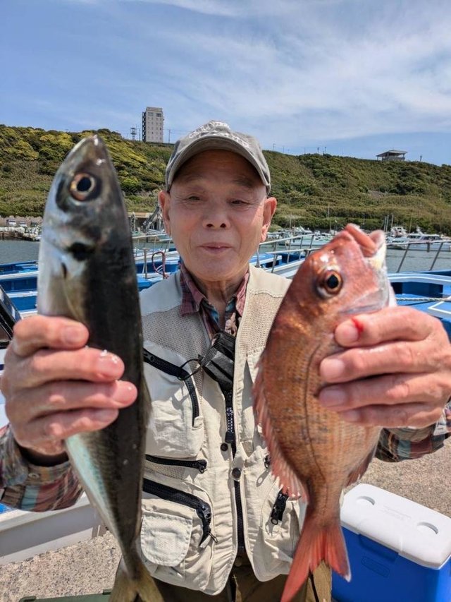 マダイ・アジ(マアジ)