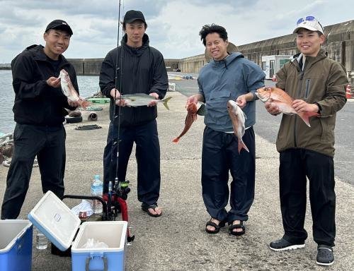 マダイ・イナダ(ブリ)