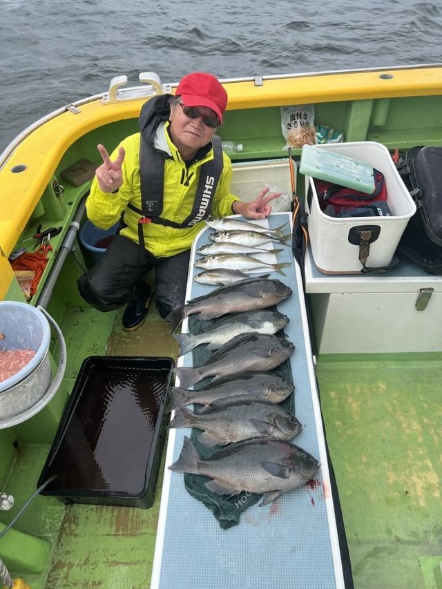 メジナ・アジ(マアジ)