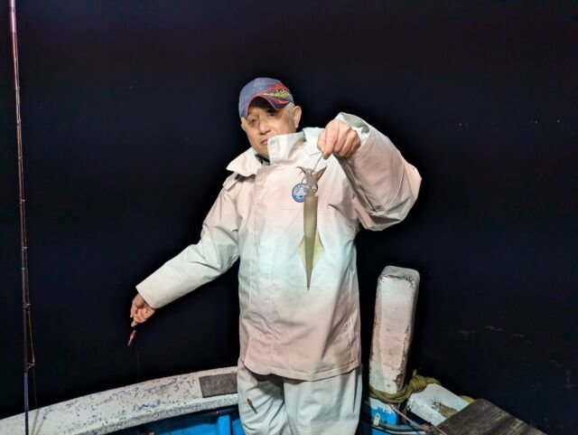 マイカ(ケンサキイカ)