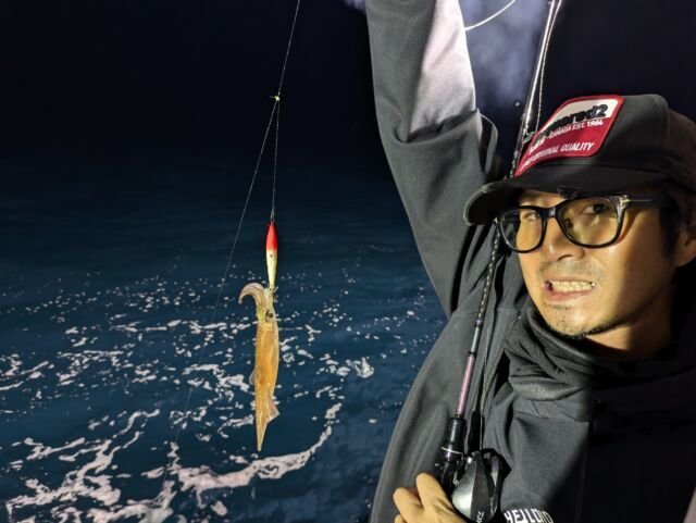 マイカ(ケンサキイカ)