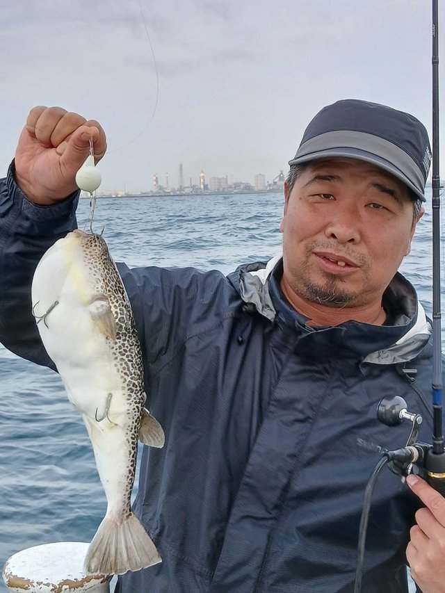 フグ(ショウサイフグ)