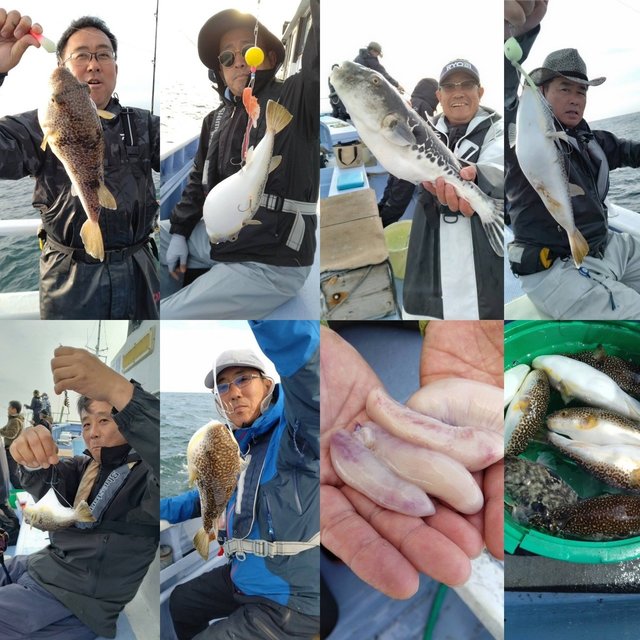 ショウサイフグ