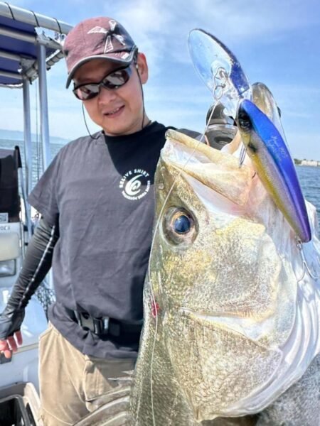 シーバス(スズキ)