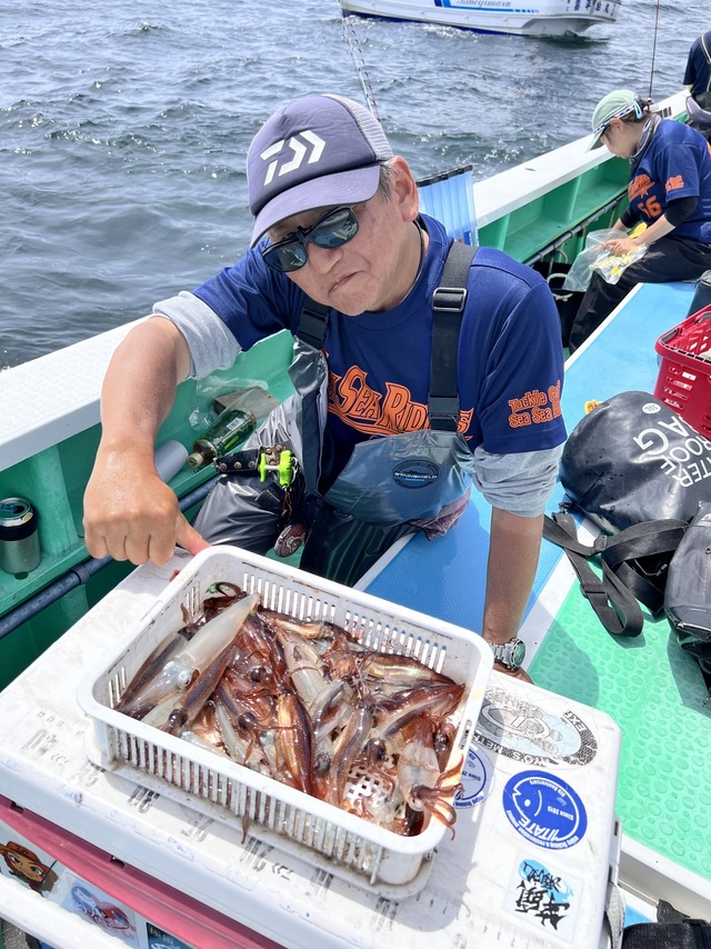 マルイカ(ケンサキイカ)