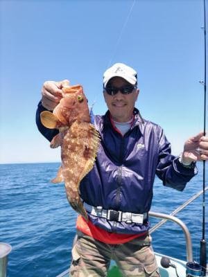 ガシラ(カサゴ)