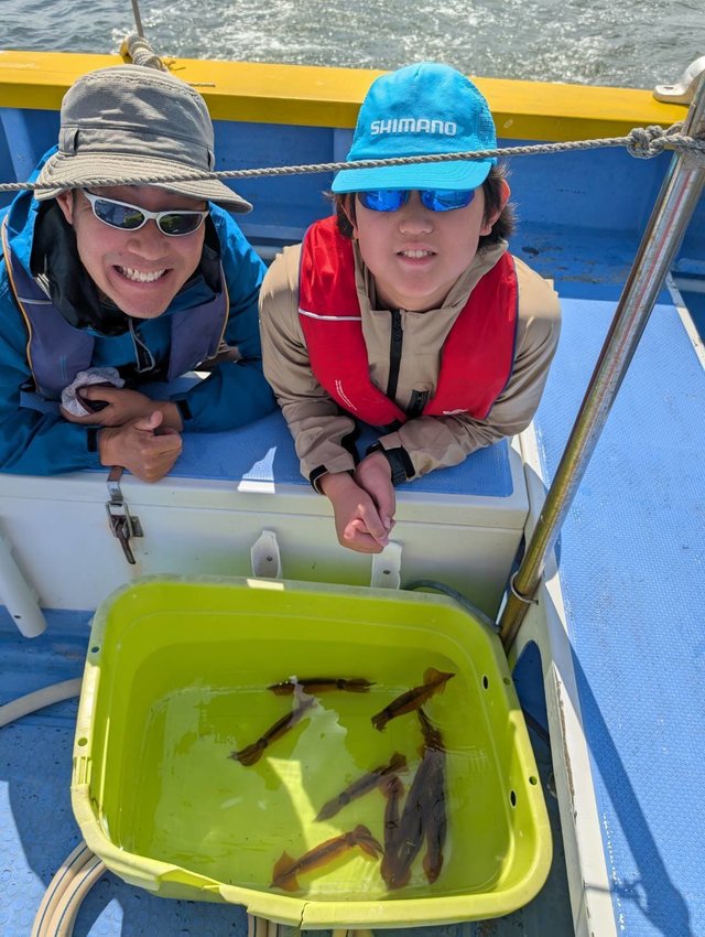 ムギイカ(スルメイカ)