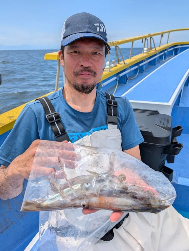 ムギイカ(スルメイカ)