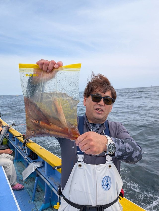 ムギイカ(スルメイカ)