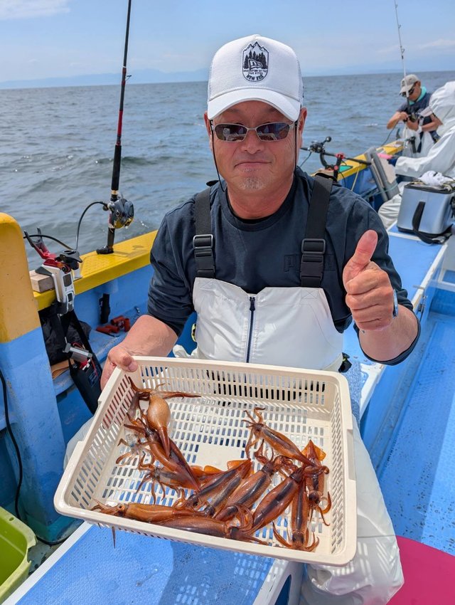 ムギイカ(スルメイカ)