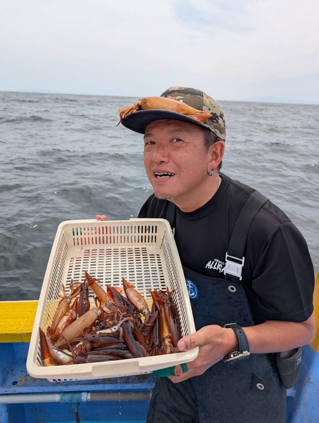 ムギイカ(スルメイカ)