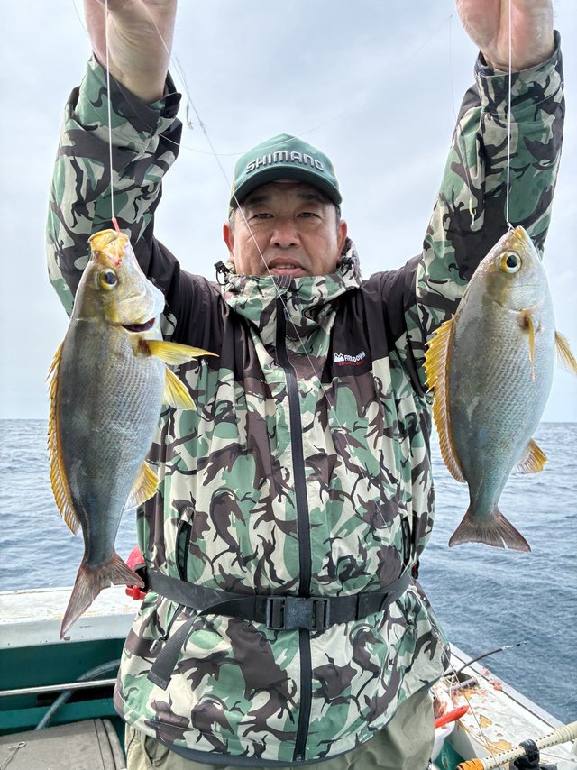 イサギ(イサキ)