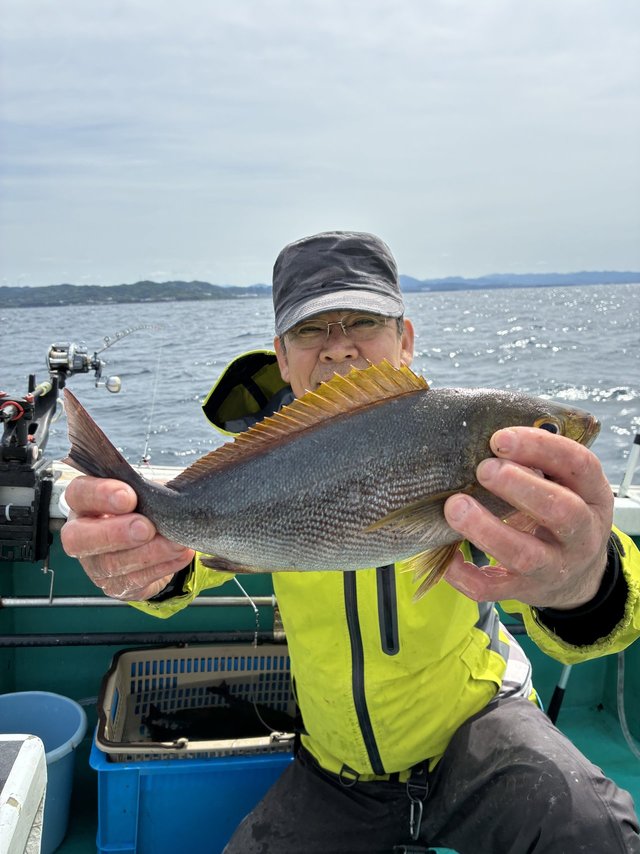 イサギ(イサキ)