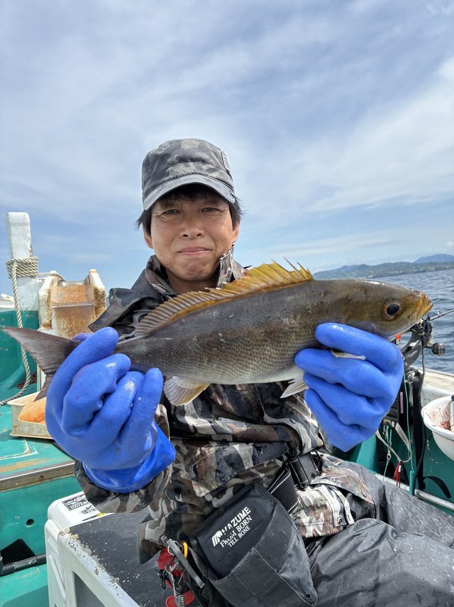 イサギ(イサキ)