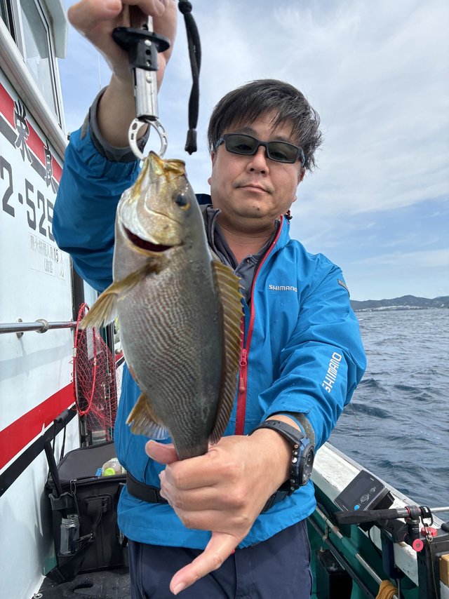 イサギ(イサキ)