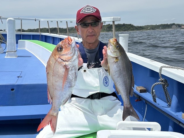 マダイ・イサキ