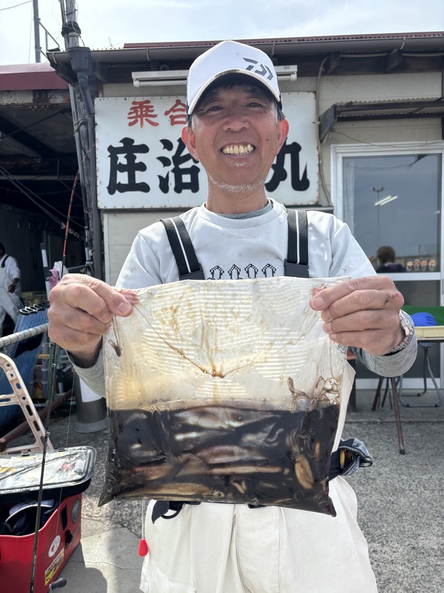 ムギイカ(スルメイカ)