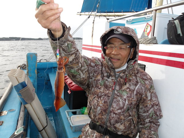 ムギイカ(スルメイカ)