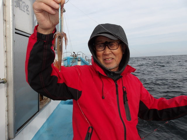 ムギイカ(スルメイカ)