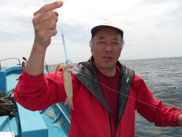 ムギイカ(スルメイカ)