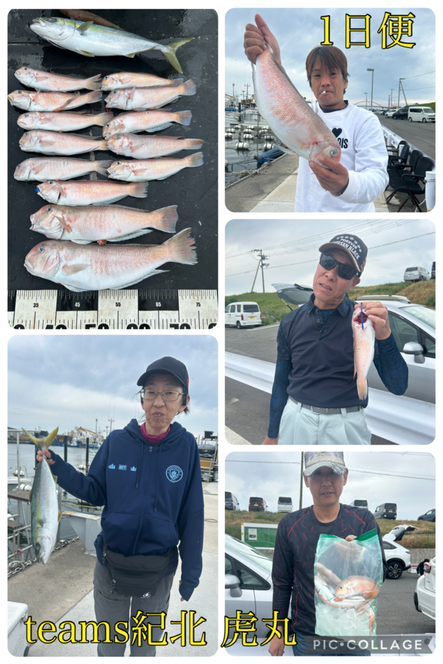 ハマチ(ブリ)・シロアマダイ