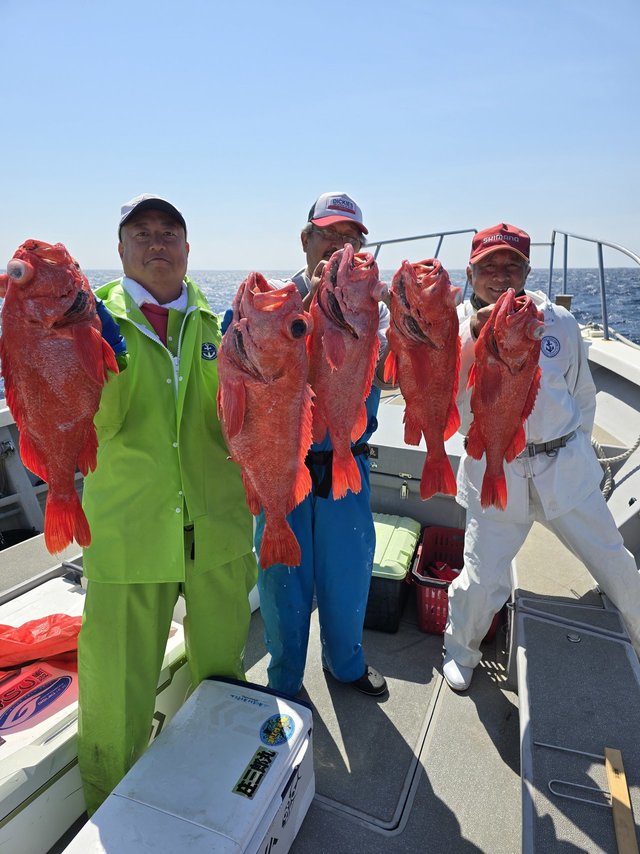 ベニアコウ(オオサガ)