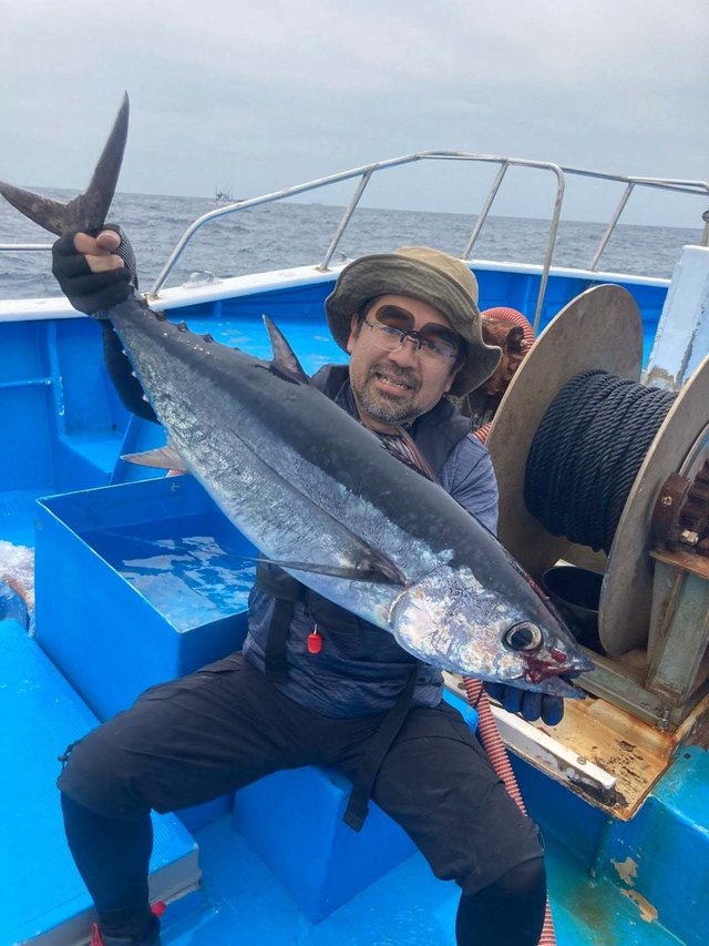 トンボ(ビンナガ)