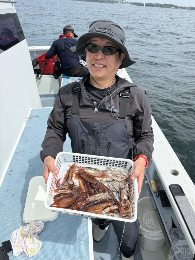 ムギイカ(スルメイカ)