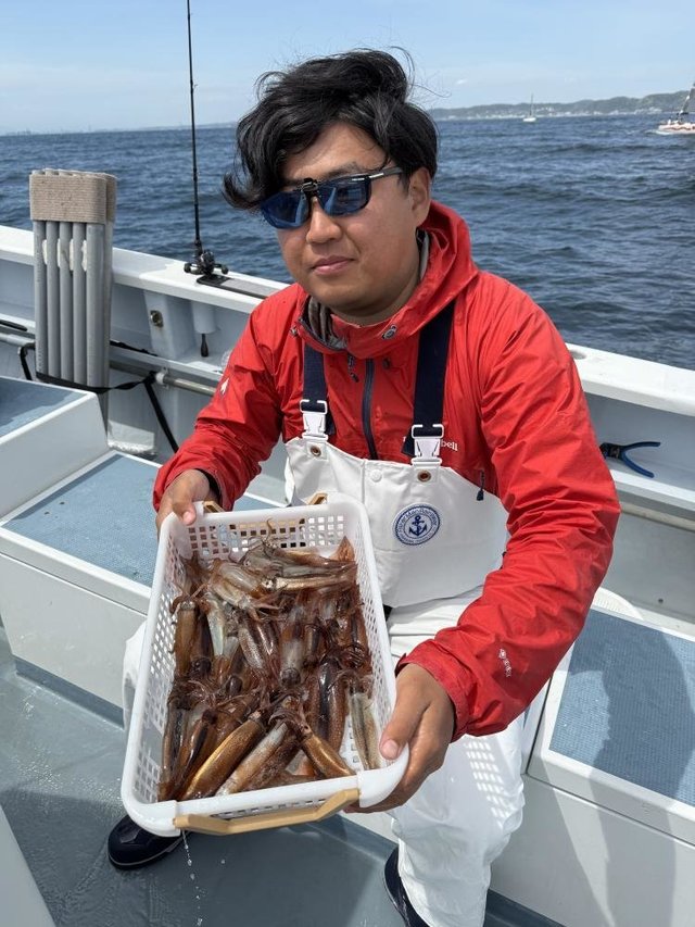 ムギイカ(スルメイカ)