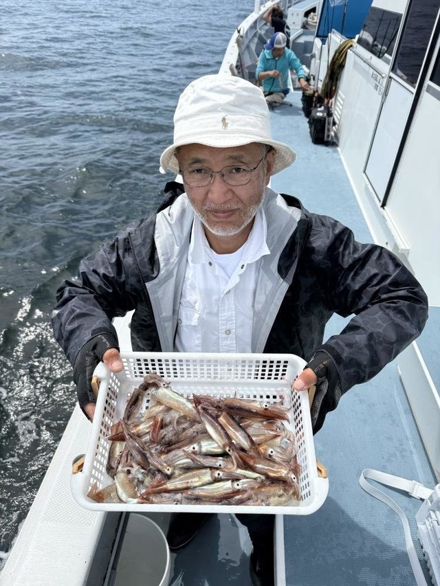 ムギイカ(スルメイカ)