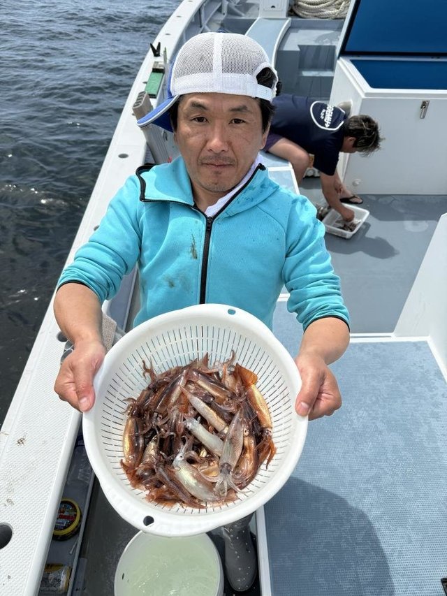 ムギイカ(スルメイカ)