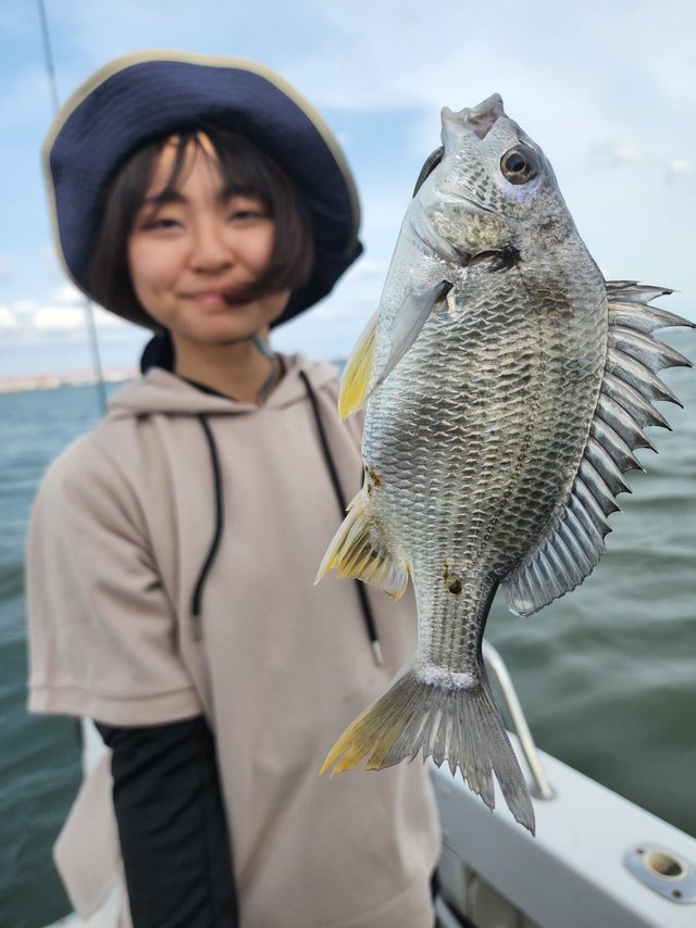 キビレ(キチヌ)