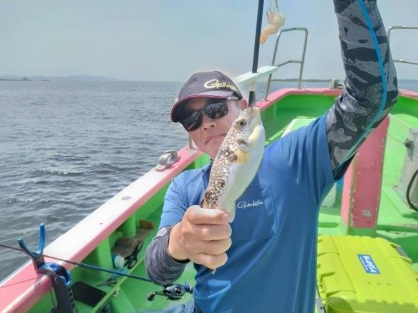 ショウサイフグ