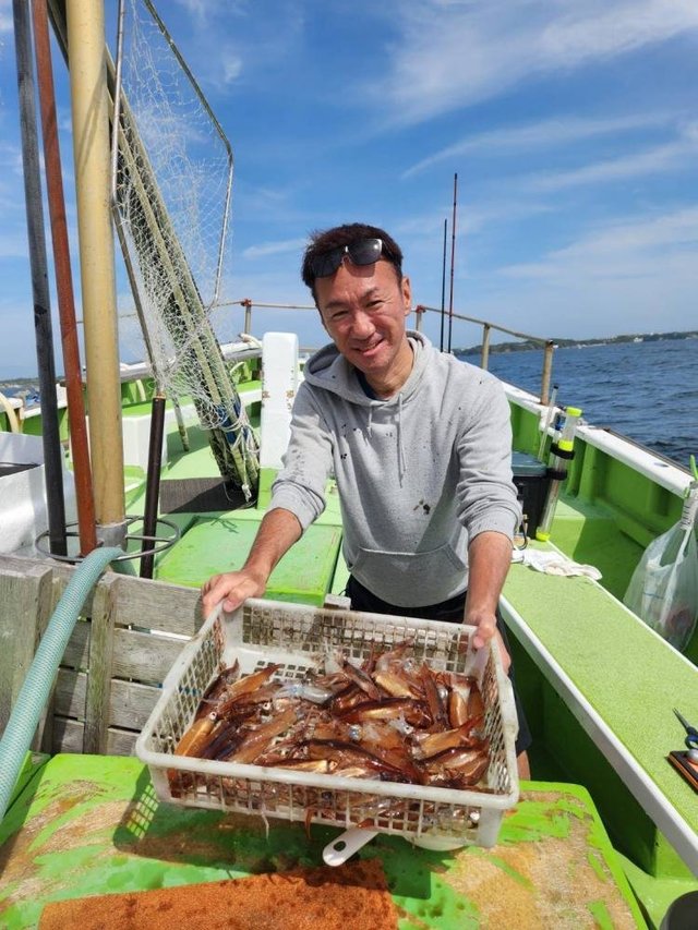 ムギイカ(スルメイカ)