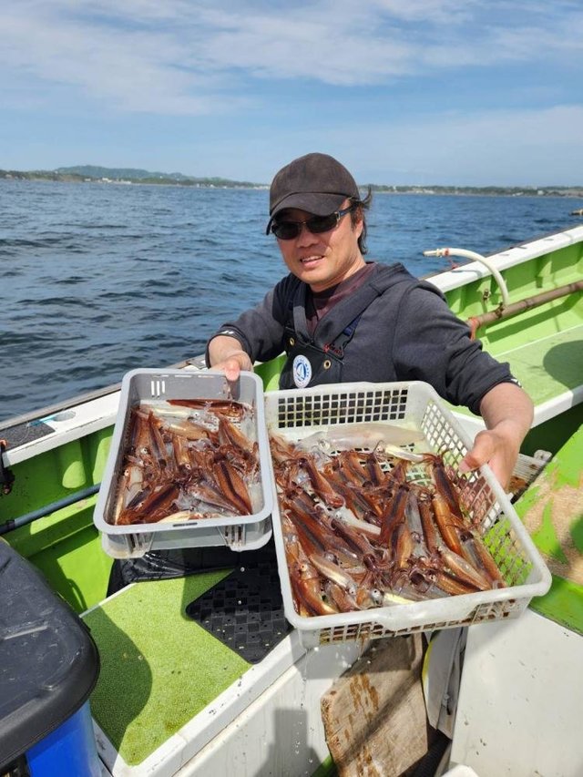 ムギイカ(スルメイカ)