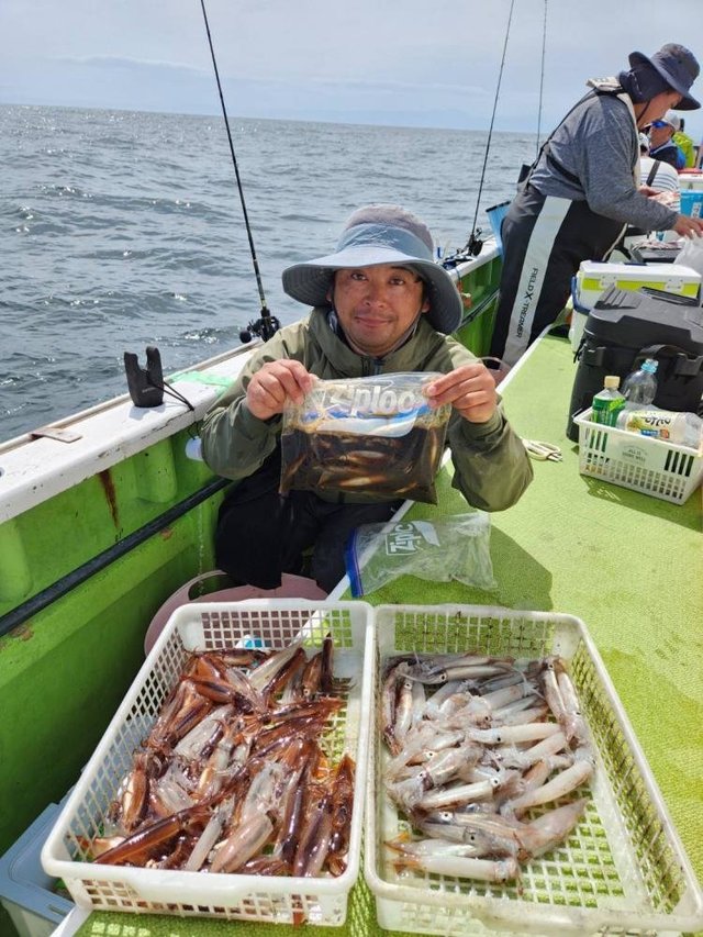 ムギイカ(スルメイカ)