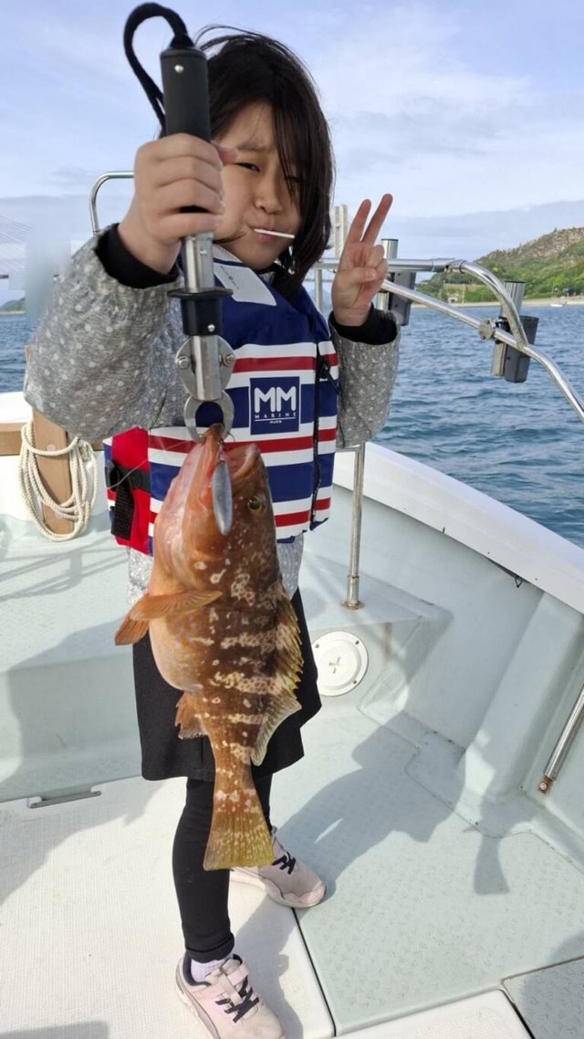 アコウ(キジハタ)