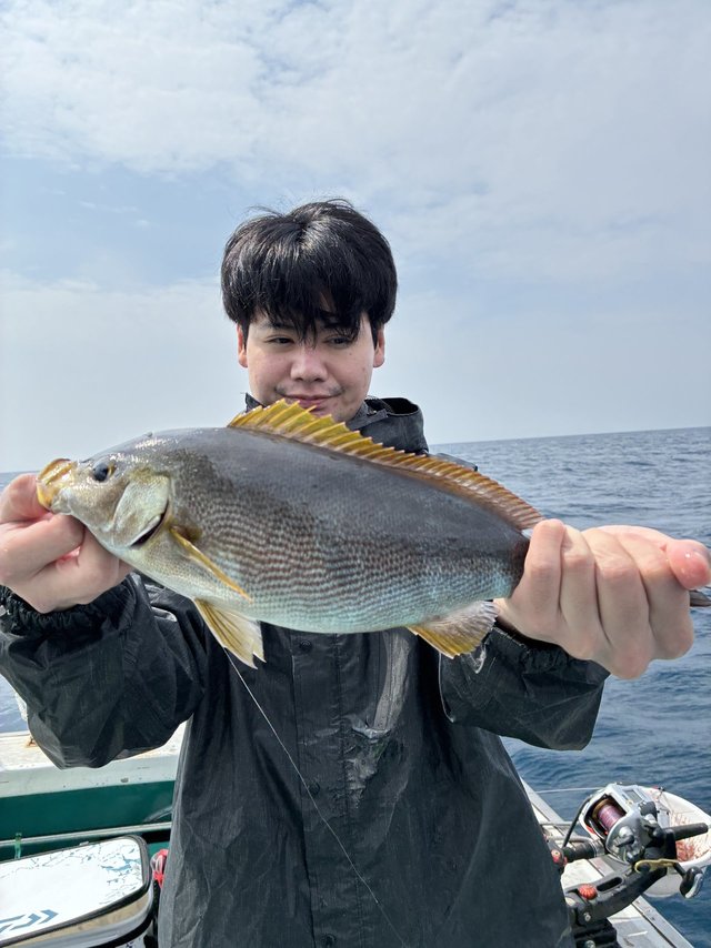 イサギ(イサキ)