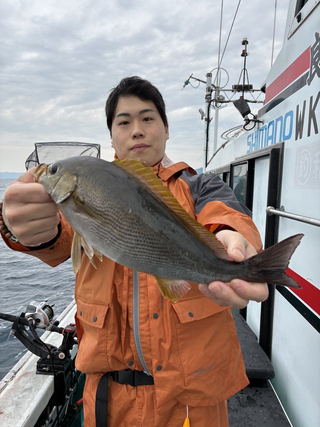 イサギ(イサキ)