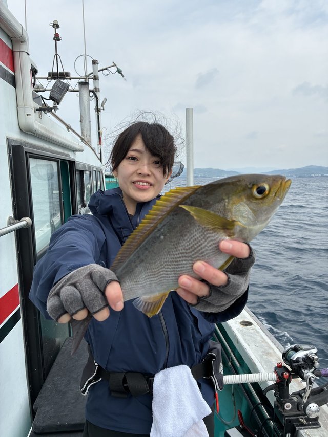 イサギ(イサキ)